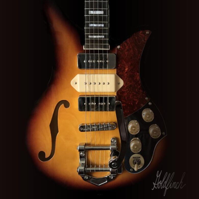 Brand Marketing Guitars