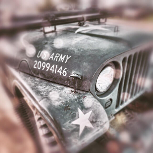 Disabled Veterans Awareness